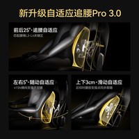 andaseaT/安德斯特 麒麟王座3.0Pro 人体工学电竞椅 黑色