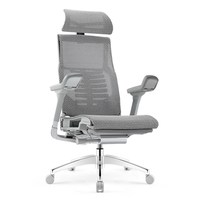 Ergonor/保友办公家具 POFIT 2代 人体工学电脑椅