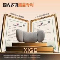 习格 X19T 护腰学习椅 黑色 人体工学电脑椅