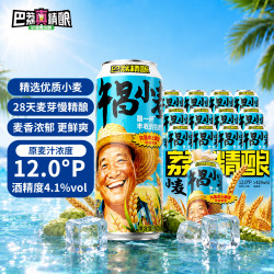 巴荔 小麦精酿啤酒 白啤 全麦芽酿造 500ml*12罐