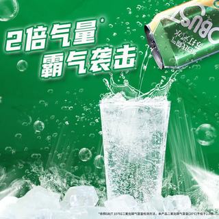 乐百氏 原味苏打汽水 330mL*24罐*2箱