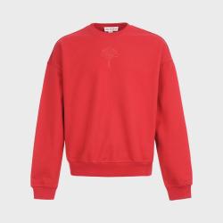 ZARA 男式中国结胶质印花新潮时尚圆领长袖套头卫衣