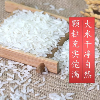 粮心妹 精选丝苗香米 50斤*1袋 大米