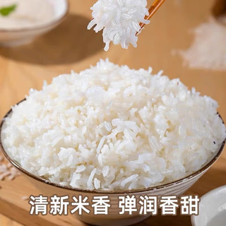 粮心妹 精选丝苗香米 50斤*1袋 大米