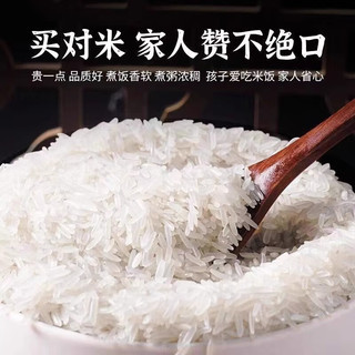 粮心妹 精选丝苗香米 50斤*1袋 大米