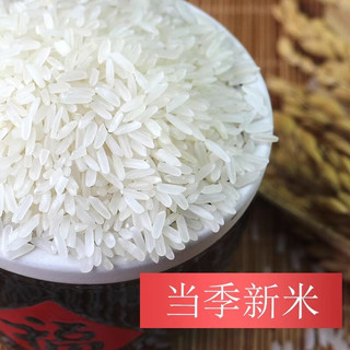 粮心妹 精选丝苗香米 50斤*1袋 大米