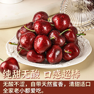 顾一 山东烟台大樱桃
