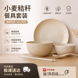 驻掌柜 碗筷套装组合一人ins日式碗筷餐具碗具套装家用碗具套装1人食 一人食5件套