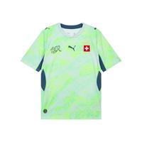 PUMA/彪马 瑞士国家队客场球迷版吸湿速干足球T恤 男款