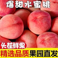 鲜耐 陕西水蜜桃新鲜现摘软脆甜新鲜水果 净重5斤（12个）
