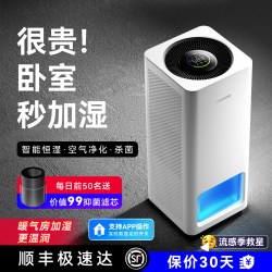 大宇 J30无雾加湿器家用静音卧室孕妇婴儿净化空气一体大容量客厅