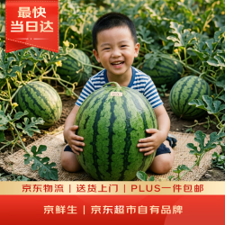 京鲜生 无籽麒麟西瓜 10-14斤