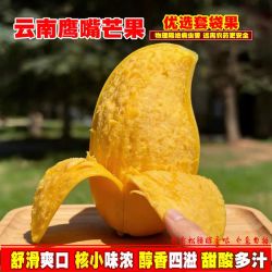 滇老头 云南鹰嘴芒黄皮芒果套袋甜心新鲜热带水果套袋生态果3-8斤包邮