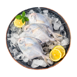 至鲜 银鲳鱼整条 600g×8条 冷冻水产