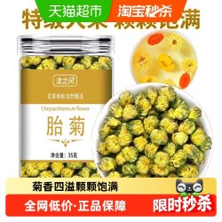 沈之问 胎菊白菊茶养生菊花茶非特级旗舰正品桐乡胎菊泡水喝