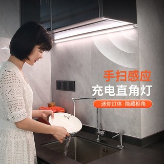 DOLILO/得利来 LED感应灯条 手扫充电 