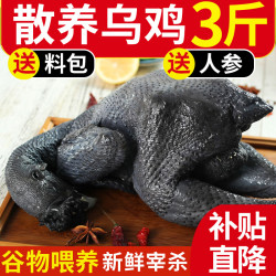 王氏正德 农家散养乌骨鸡 1.5kg