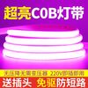 LABOT拉伯塔 COB柔性灯带 220V自粘彩色氛围灯