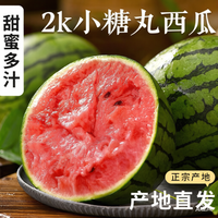 熊猫鸟 山东小糖丸西瓜 2个装 共5-5.5斤
