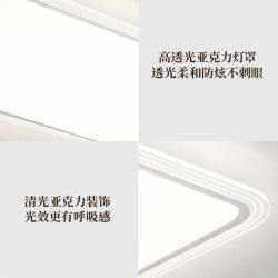 雷士 照明 大面罩清漾吸顶灯
