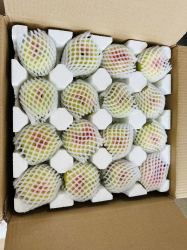 京世泽 山西水蜜桃 2.5kg装 当季鲜桃水果毛桃子