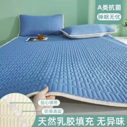 朴顿庄园 A类新款冰丝凉席 60*120cm花色随机