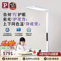 Paulmann 骑士I 立式护眼灯 紫光全光谱