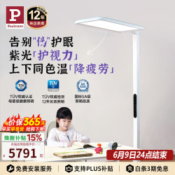 Paulmann 骑士I 立式护眼灯 紫光全光谱