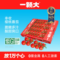 移动端、京东百亿补贴：一颗大 玲珑串番茄 串收樱桃小番茄 生吃水果西红柿 低GI食品 爆汁 1KG 玲珑串番茄 1kg *1盒