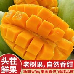 集南鲜 金煌芒芒果 当季广西青皮黄皮大芒果新鲜水果甜心芒果整箱盒 净重实惠中果 4.5斤