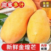 移动端、京东百亿补贴：庾丰 广西当季金煌芒新鲜现摘芒果水果 热带整箱当季大青 芒果含箱 5斤装（净重4.5斤）单果200g+