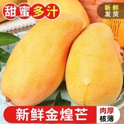 庾丰 广西当季金煌芒新鲜现摘芒果水果 热带整箱当季大青 芒果含箱 5斤装（净重4.5斤）单果200g+