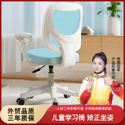 汇品达 儿童学习椅 作业椅 矫正坐姿 旋转 简约 家用书桌椅 小学升降椅