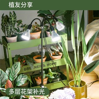 三思 植物补光灯 全光谱LED 多头落地支架