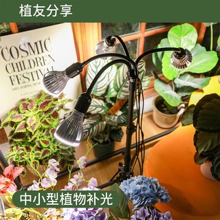 三思 植物补光灯 全光谱LED 多头落地支架