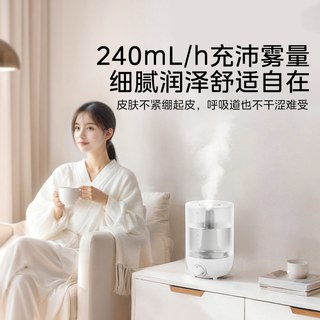 美的 华凌小型加湿器