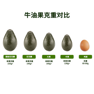 牛油果先生 秘鲁即食牛油果