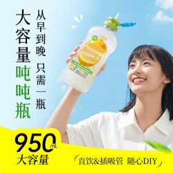 纤冠军 柠檬水饮料 950ml*2瓶