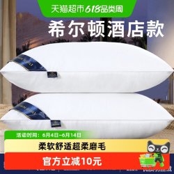 俞兆林 La Chapelle 拉夏贝尔 酒店枕头枕芯一对装 48*74cm 羽丝绒