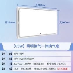 雷士 长款换气扇 集成吊顶换气扇 300*600