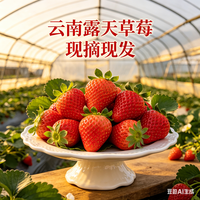 欧果然 云南高原草莓 新鲜采摘 10斤 单果7-10g
