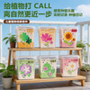 小花农 波斯菊儿童果蔬植物观察种植小盆栽实验套装
