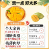 田良记 金煌芒 净重8斤 单果150g+ 新鲜芒果
