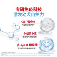 ROYAL CANIN/皇家 幼犬粮 中型犬大型犬 2kg