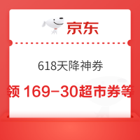 京东 618天降神券 领29-5/59-10/169-30超市券等