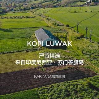 CaffeMARYLING 印尼苏门答腊猫屎咖啡豆