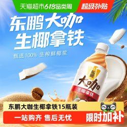 东鹏 生椰大咖 500ml*15瓶