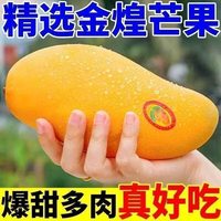 爆料鲜丰 海南金煌芒 特大果280-400g 带箱9斤