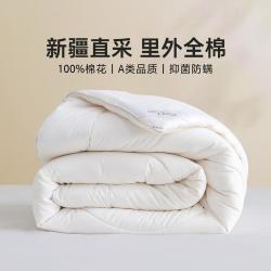 水星家纺 100%新疆棉花被子春秋被夏凉被冬被棉被褥空调被全棉被芯夏被