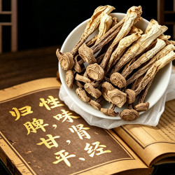 滋养气血鹿茸菇 500g*2袋 特产脆脆菇无熏新货
